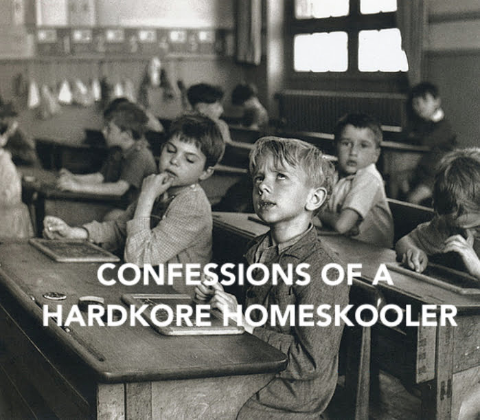confessions of a homeschooler