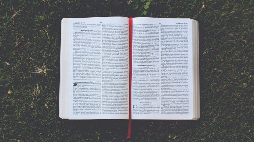 how-to-start-reading-the-bible-an-in-depth-guide