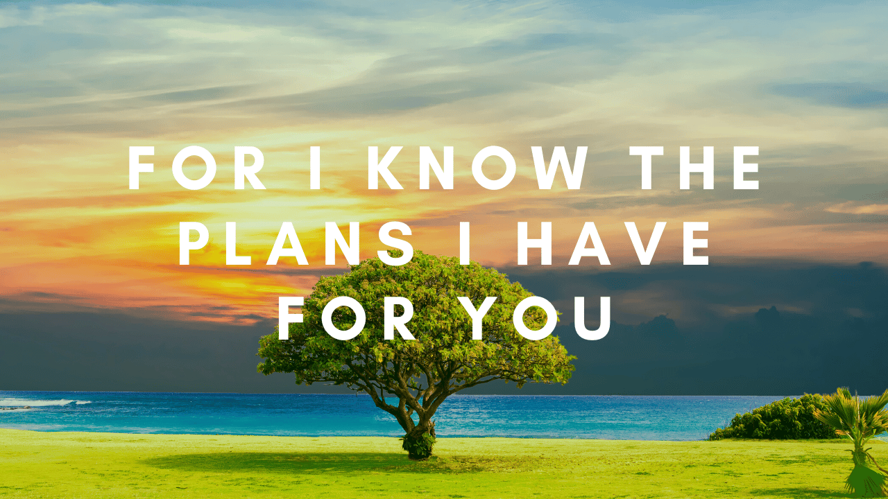 for i know the plans i have for you